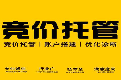 提升广告ROI：SEM竞价专员的五大案例